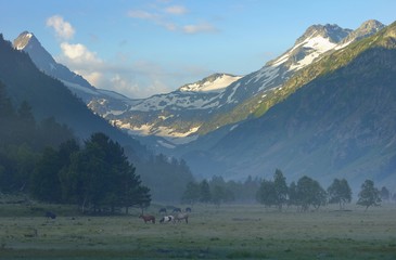 Morning in mountains