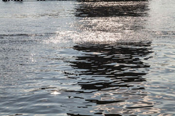 Wasseroberfläche der Spree in Berlin