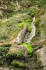 Water stream running by the rocks surrounded by moss and plants. Water spring. Natural beauties of...