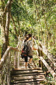 Woman walking on a wooden footpath in the middle of the forest. Straight footpath surrounded by trees and plants at Bonito MS, Brazil. Brazilian ecotourism.