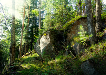 Fototapety na wymiar - Fototapeta24.pl