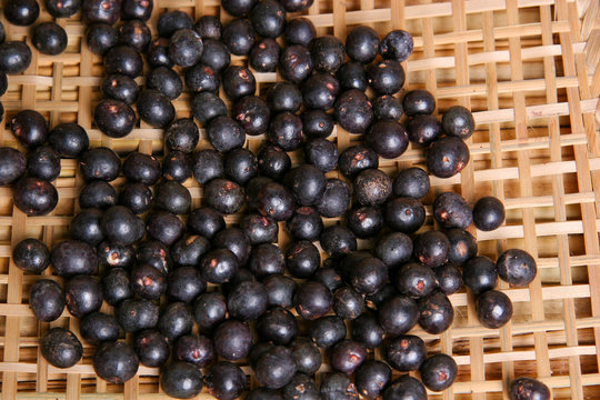 Suco, fruto e semente de a&ccedil;ai com farinha de tapioca e farinha d&acute;'&aacute;gua.