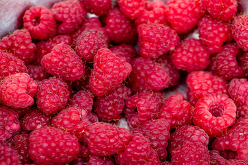 Raspberry growing on bush in a field