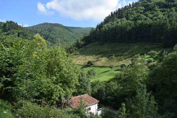 Fototapeta na wymiar Praderas verdes en un valle entre montañas con bosques frondosos.