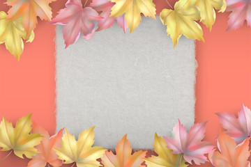 Autumn background with maple leaves