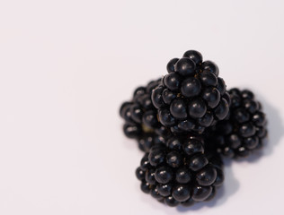 Very brave and beautiful blackberry bery, ona white background.