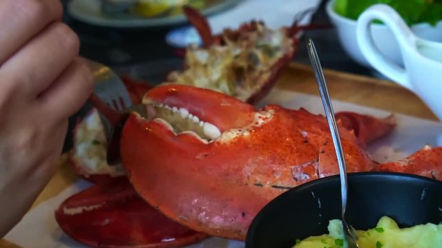 eating lobster meat out of shell