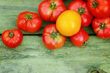 Tomato harvest on green wooden background