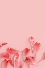 Pink petals on a pastel pink background, minimal style. Flat lay, copy space.