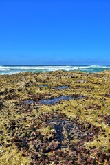 Vila Nova de Mil Fontes