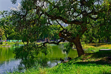 A view from the new Ecoparque, ex Buenos Aires Zoo