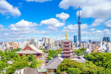 Aerial view of tokyo city with senso temple