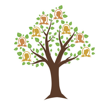 Modern vector illustration of Genealogical tree on white background. Family tree vector