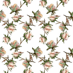 Cotton floral botanical flower. Watercolor background illustration set. Seamless background pattern.