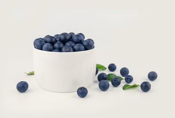 blueberry in ceramicon bowl on white background