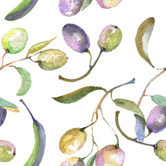 Olive branch with black and green fruit. Watercolor background illustration set. Seamless background pattern.