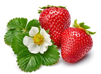 Strawberries with green leaf and flowers, isolated on white background.