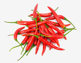 spicy hot chili on white background