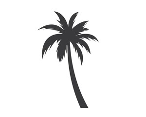 Palm tree icon of summer and travel logo vector illustration