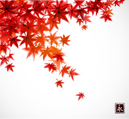 Red leaves of japanese maple in fall. Traditional Japanese ink wash painting sumi-e. - obrazy, fototapety, plakaty