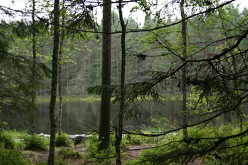 ヨーロッパ、初夏、夏、森、おもちゃ、海