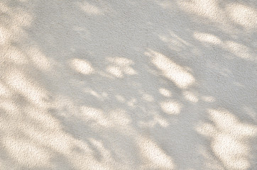 Shadows of the leaves on a concrete wall. - Image