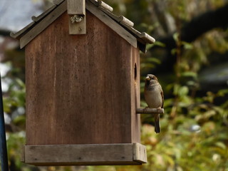Moving into a new home