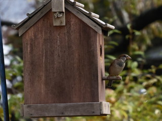 Moving into a new home