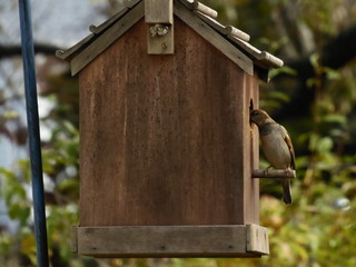 Moving into a new home