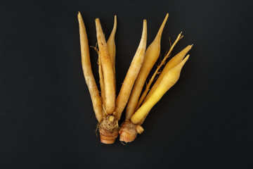 Ingredients for Thai food Fingerroot  isolated on black background