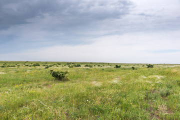 Crimea steppe- landscape park. Kerch peninsula