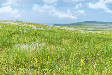 Crimea steppe- landscape park. Kerch peninsula