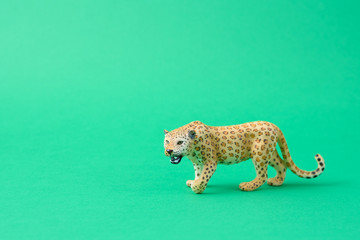 leopard toy isolated in green background
