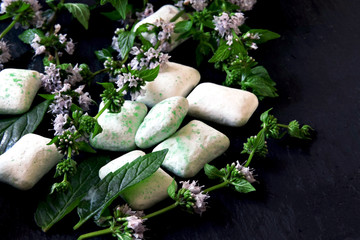 Chewing gum pads and mint leaves with flowers. Refreshing mint concept.