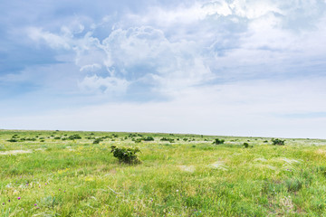 Crimea steppe- landscape park. Kerch peninsula