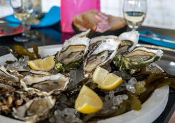 Fresh oyster with cut juicy lemon on a plate with ice in the restaurant. Fresh healthy seafood, Restaurant delicacy. Serving dish with oysters and wine. Family lunch with wine on an oyster farm.