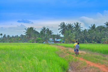 Fototapeta na wymiar happy young local boy riding old bicycle at paddy field
