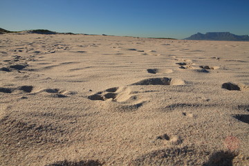 Table Mountain in the background from Melkbos Beach