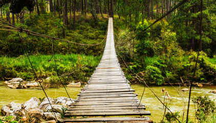 Suspension bridge over a river on Lang Bian Mountain, Vietnam, Southeast Asia