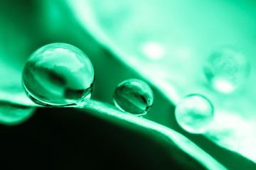 water drop on green leaf with defocus background