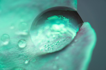 water drop on green leaf with defocus background