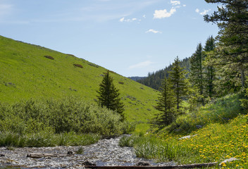 Mountain Creek trail