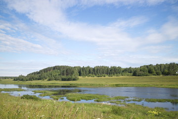 River in the countryside on a summer day