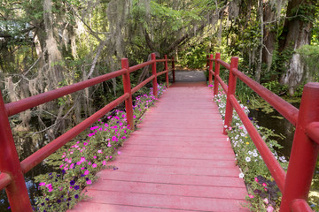 Fototapeta na wymiar The red bridge in Magnolia plantation and garden near Charleston, South Carolina