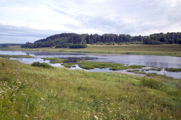 River in the countryside on a summer day