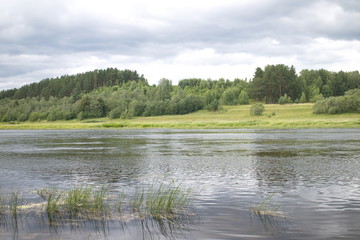 River in the countryside on a summer day