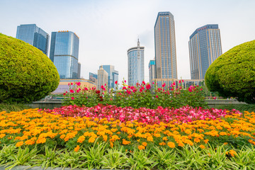 Tianfu Square in the flowers, Chengdu, Sichuan Province, China