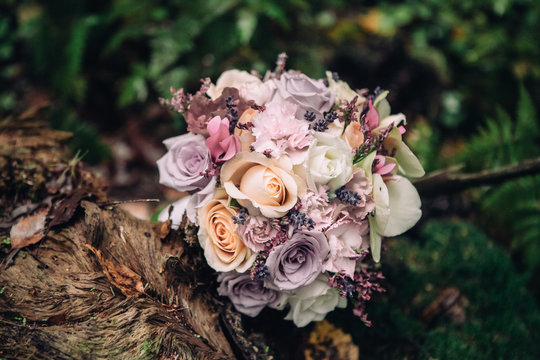 Close-up bridal bouquet of roses in lilac pink on a blurred background of forest and moss, selective focus © Sahaidachnyi Roman