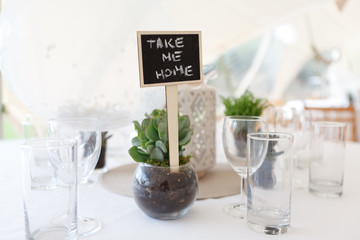 Close-up green succulent in a glass goblet on the festive table, next to it is a sign saying Take me home, selective focus