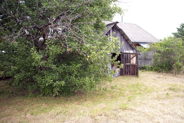 mowed grass on the summer cottage in the village